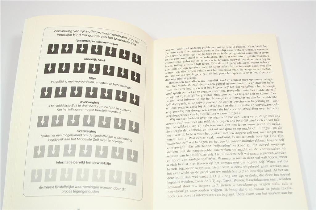 Het Pendel Handboek — Aura's, Chakra's & Reiki, Ophalen of Verzenden, Gelezen, Overige onderwerpen, Achtergrond en Informatie