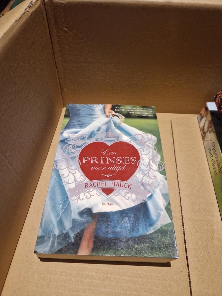 Een Prinses voor Altijd - Rachel Hauck, Boeken, Ophalen of Verzenden, Gelezen