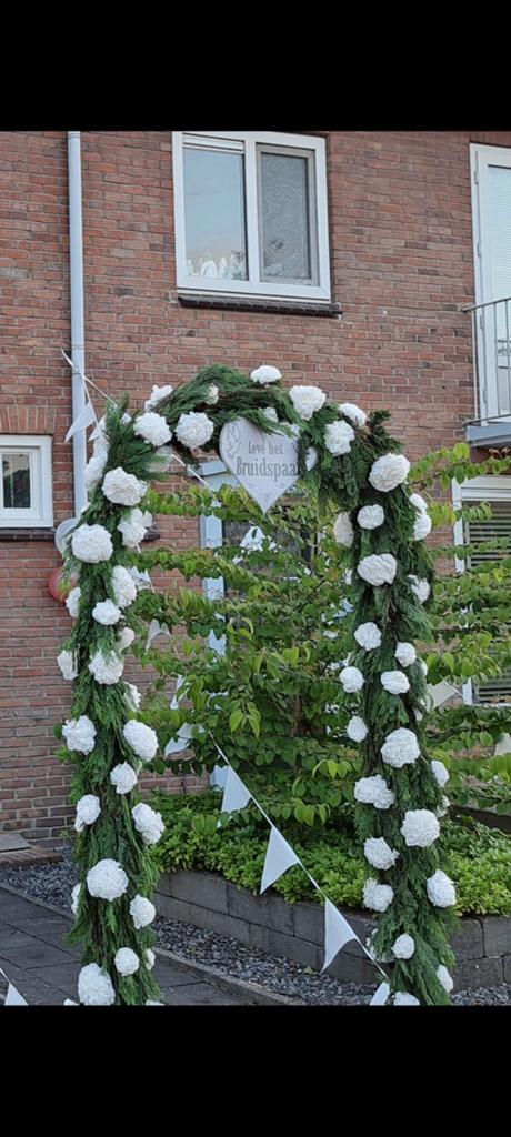 Stalen Rozenboog voor bruidspaar of beplanting, Ophalen of Verzenden
