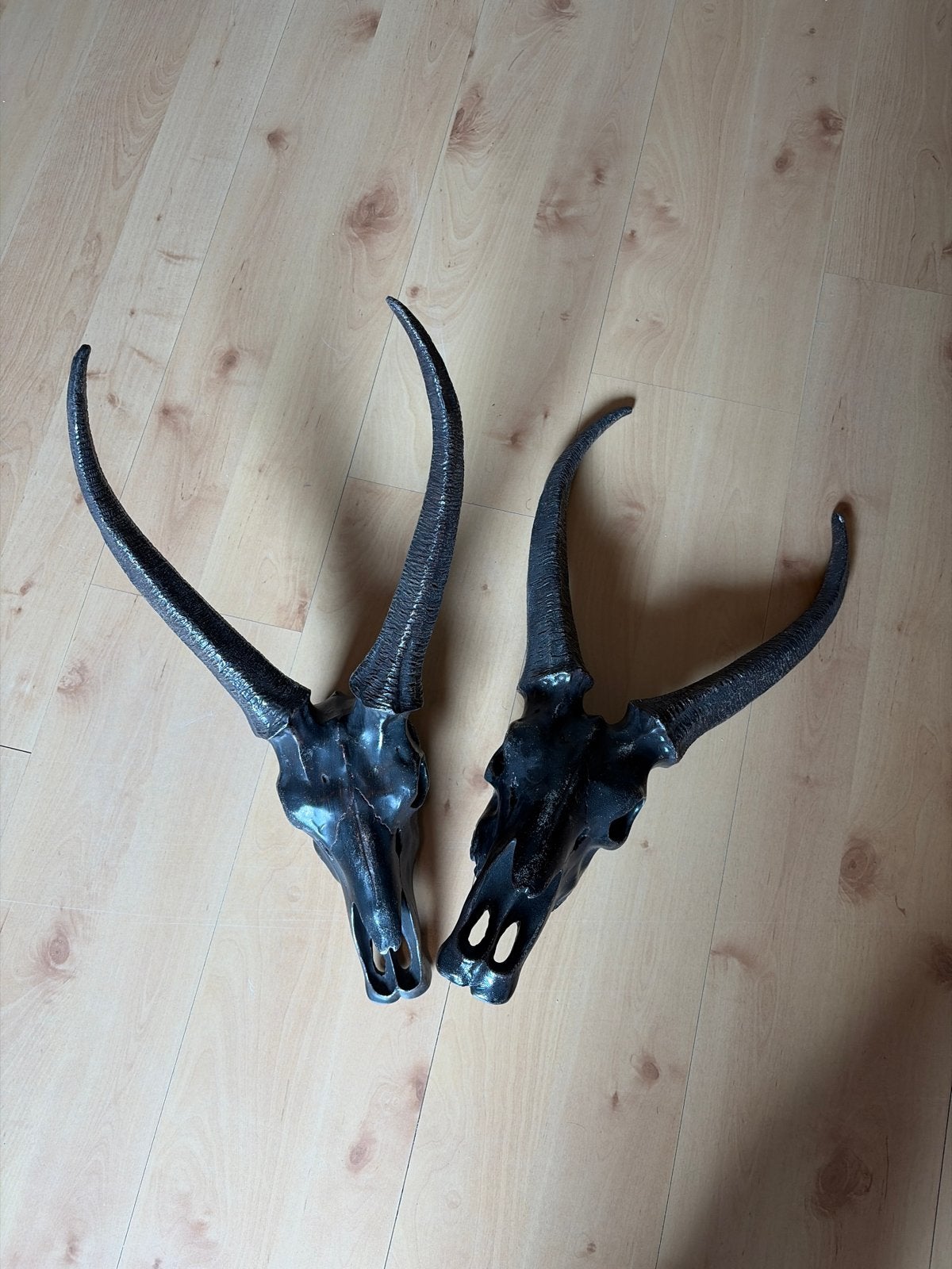 Decoratieve schedels met hoorns - Set van 2, Ophalen