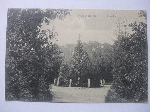R55 Ginneken - Wilhelmina-Eik - 1908, Verzamelen, Verzenden, Voor 1920, Gelopen, Noord-Brabant