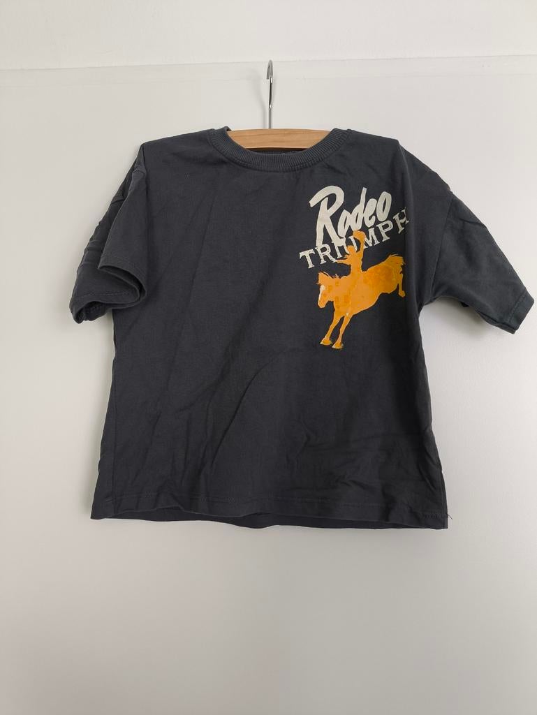 Grijs T-shirt met tekening - Maat 104, Gebruikt, Jongen of Meisje, Ophalen of Verzenden, Zara