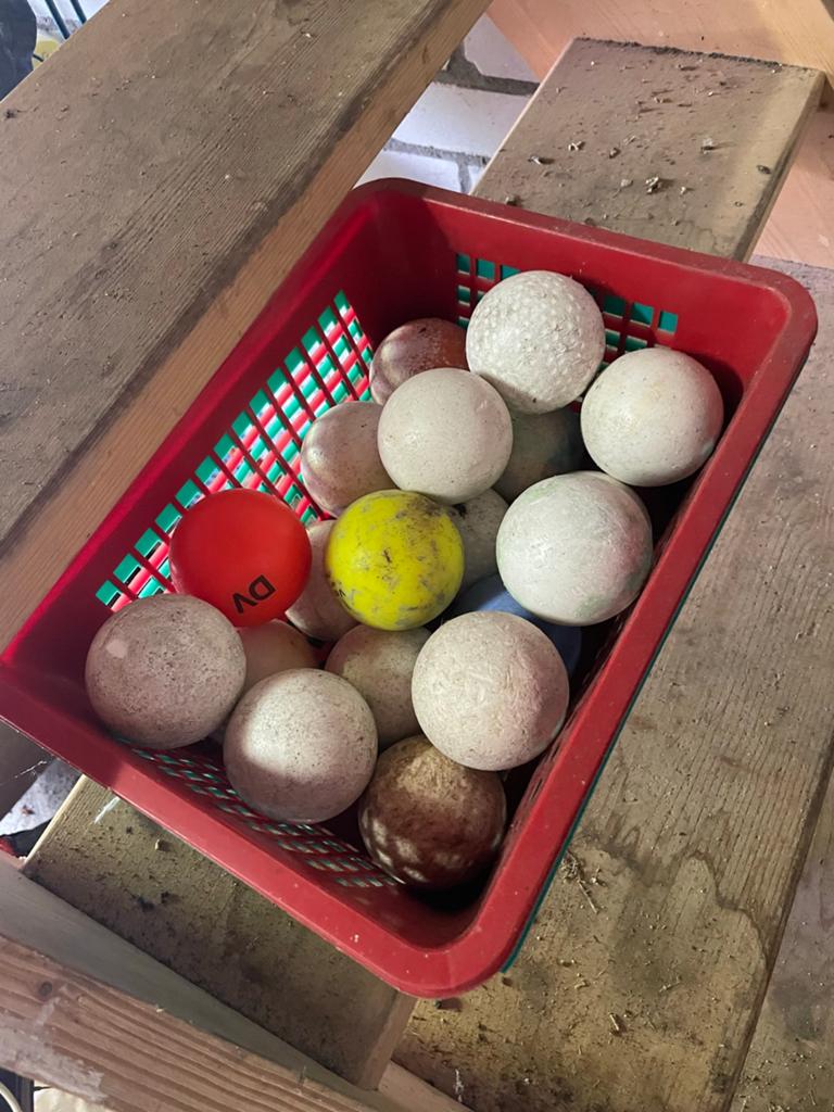 Twintig hockeyballen!, Ophalen of Verzenden