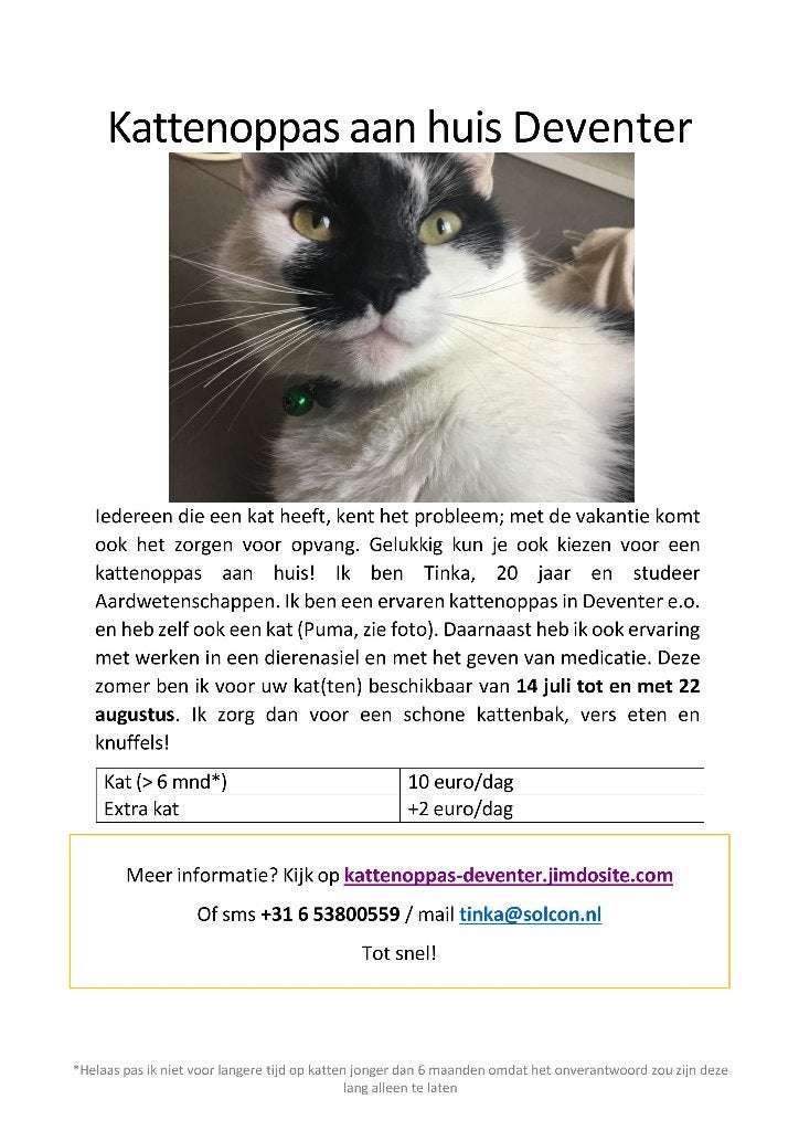 Kattenoppas Deventer, Diensten en Vakmensen, Dieren | Katten | Verzorging, Oppas en Les, Particuliere oppas