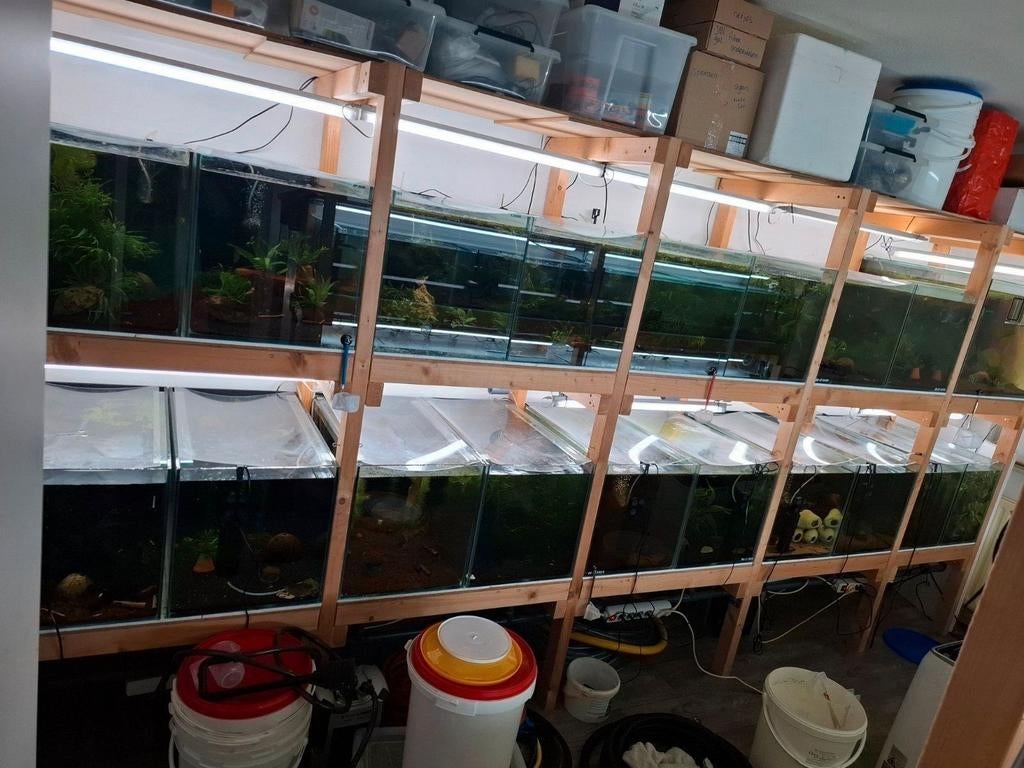 kweekbakken garnalen / aquarium, Dieren en Toebehoren, Vissen | Aquaria en Toebehoren, Ophalen, Zo goed als nieuw, Leeg aquarium