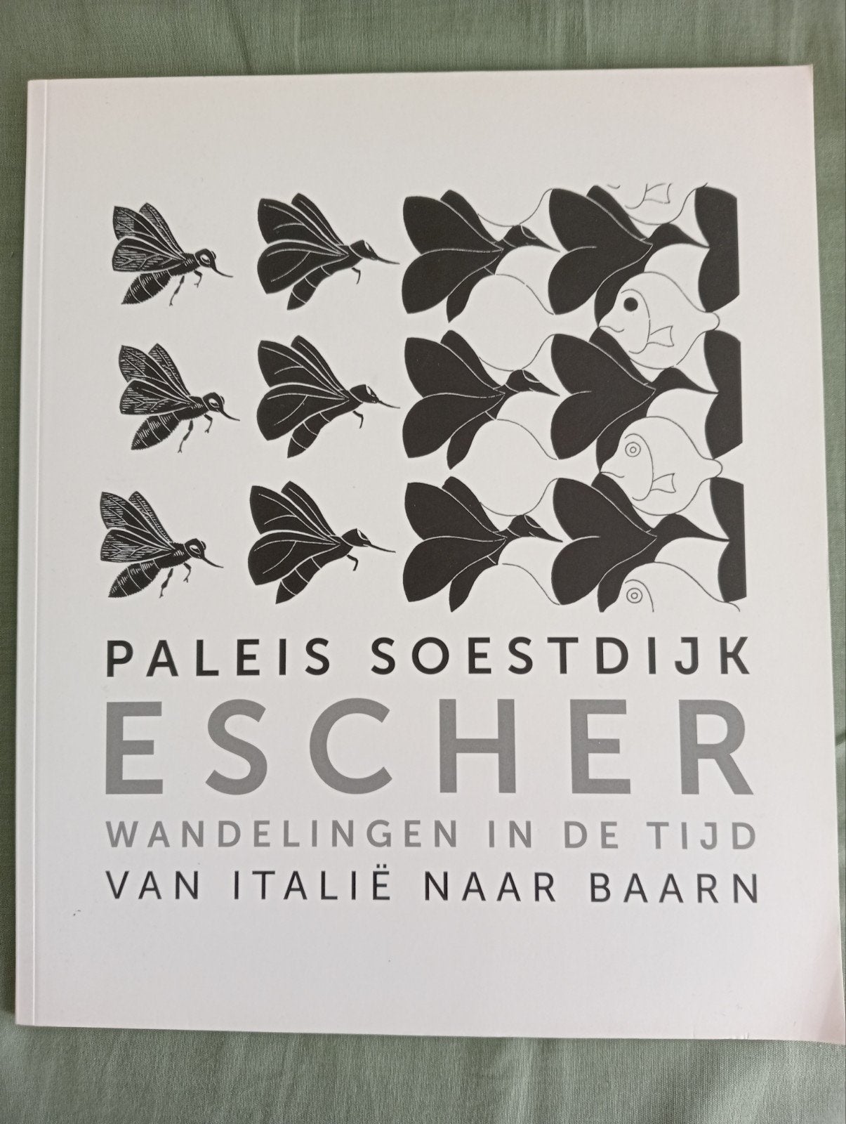 Paleis Soestdijk Escher: Wandelingen in de tijd, Ophalen of Verzenden, Zo goed als nieuw, Overige onderwerpen, M.C. Escher