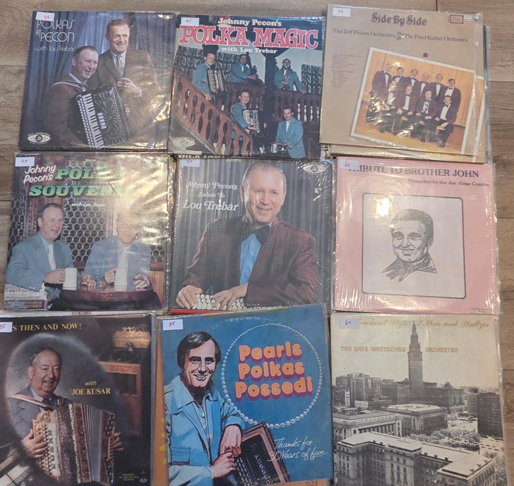 Grote collectie Polka vinyl LP's - Diverse artiesten, Gebruikt, 1980 - 1989, Ophalen of Verzenden, Inclusief binnenhoes