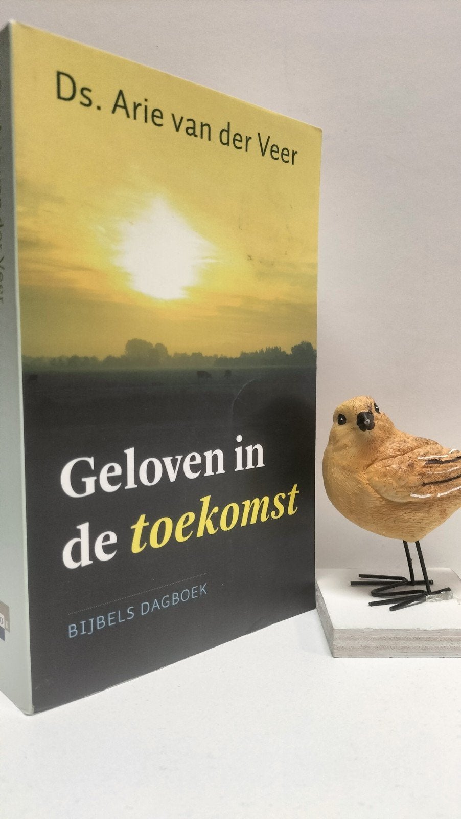 Veer, Ds. A. van der; Geloven in de toekomst (paperback), Boeken, Ophalen of Verzenden, Gelezen, Christendom | Protestants