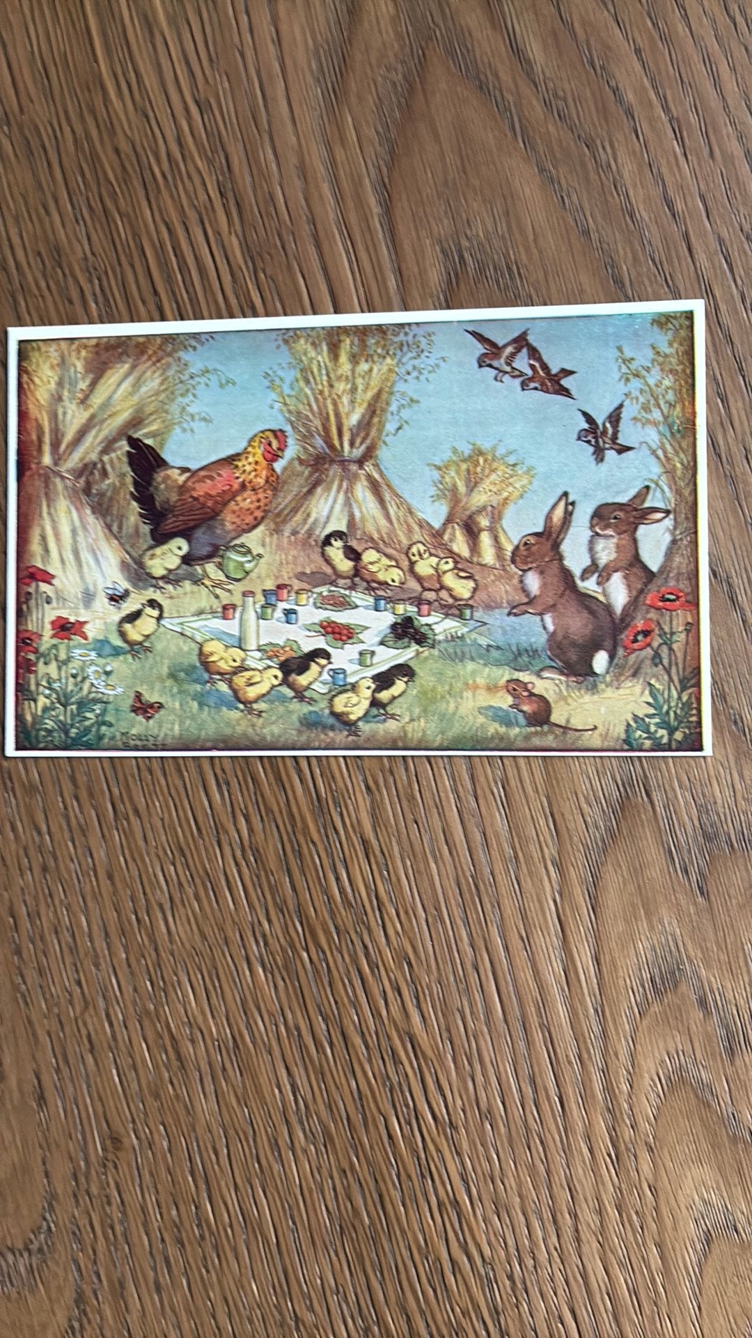 Molly BRETT. Picnic. Haan,kuikens,muis,erkhoorn,vogels, Ophalen of Verzenden, Ongelopen