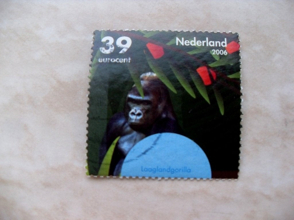Nederland 2006., Verzenden, Gestempeld