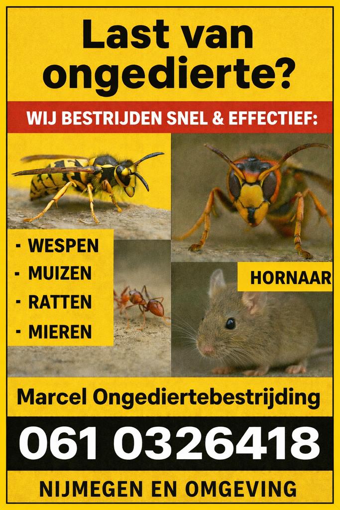 Hornaar nesten verwijderen 55€, Bijen