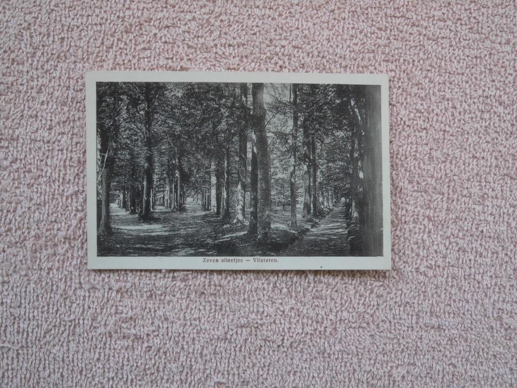 Vilsteren , Zeven alleetjes. uitgave H.J. Klomp Vilsteren, Ophalen of Verzenden, 1920 tot 1940, Ongelopen, Overijssel