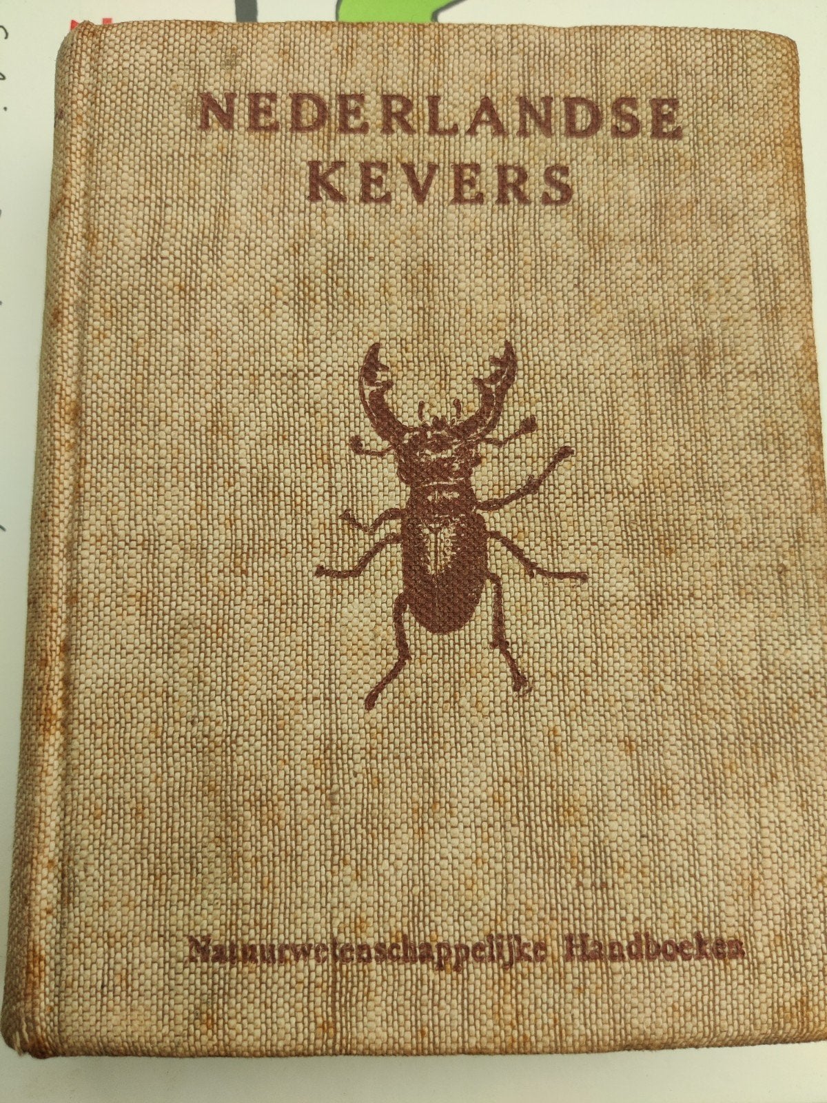Nederlandse Kevers, Ophalen of Verzenden