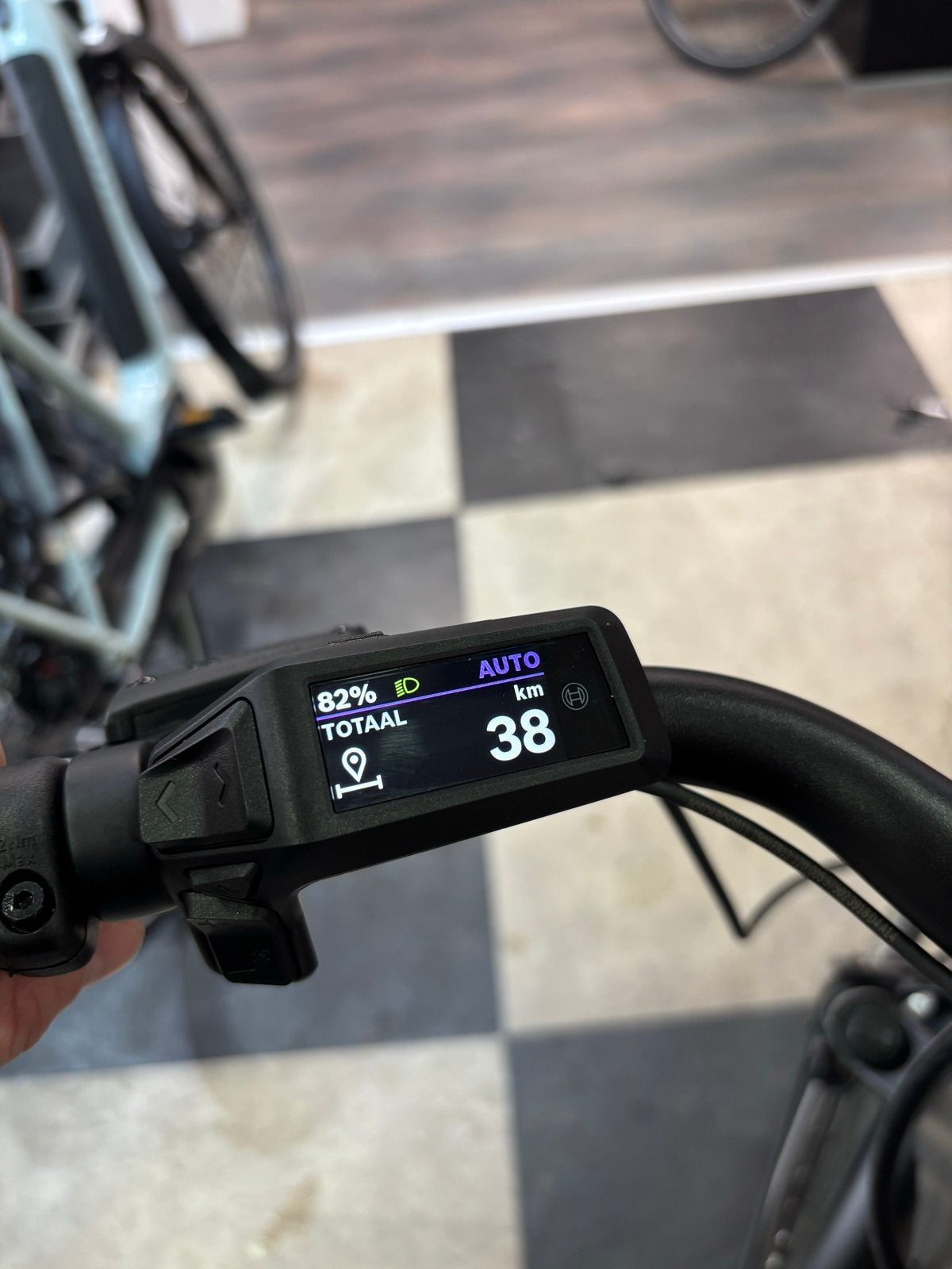 Pegasus Ravenna Evo7F Belt E-bike - 800Wh accu - Frame 50, Fietsen en Brommers, Overige merken, 47 tot 51 cm, 50 km per accu of meer