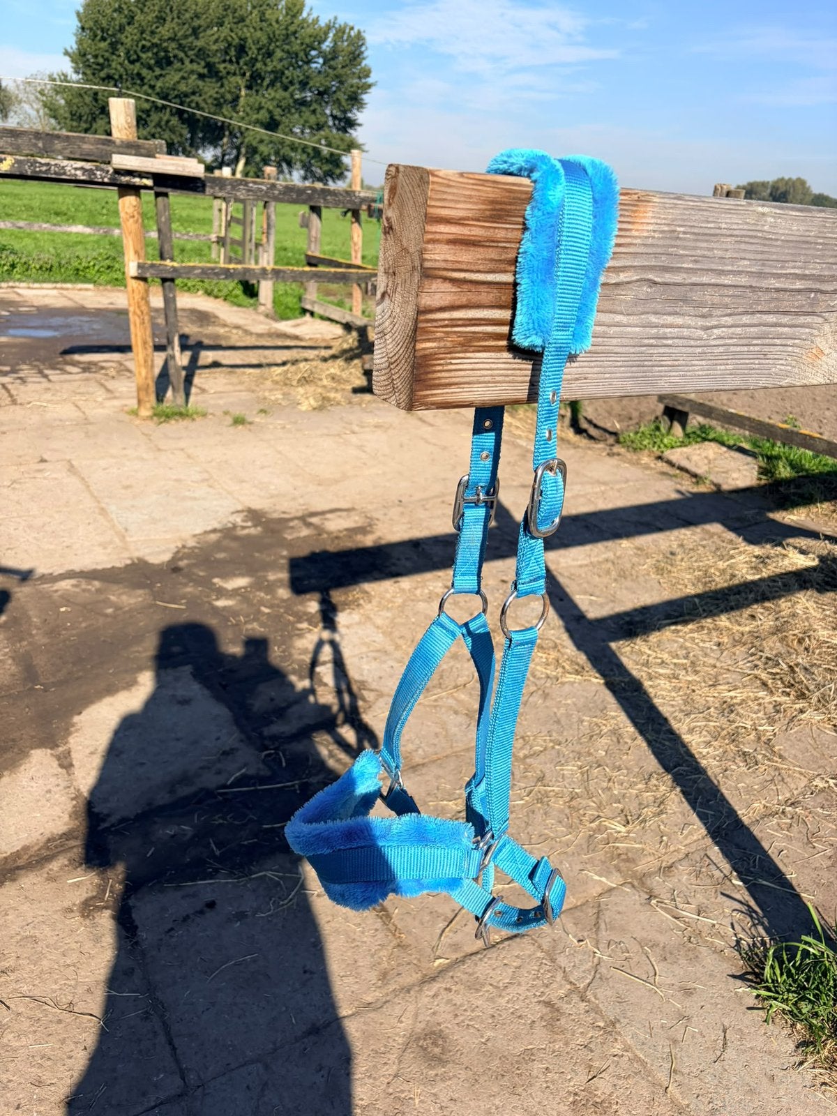 Halster maat full, Ophalen, Zo goed als nieuw, Halster, Full