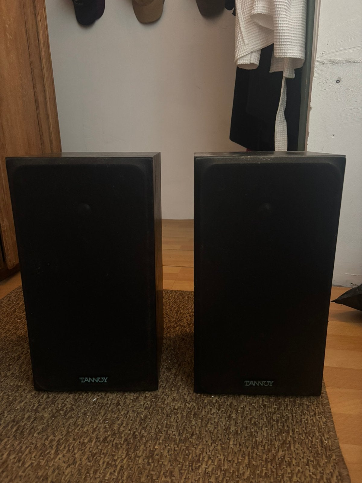 Tannoy E11 luidsprekers, Ophalen, Zo goed als nieuw, 60 tot 120 watt, Overige merken