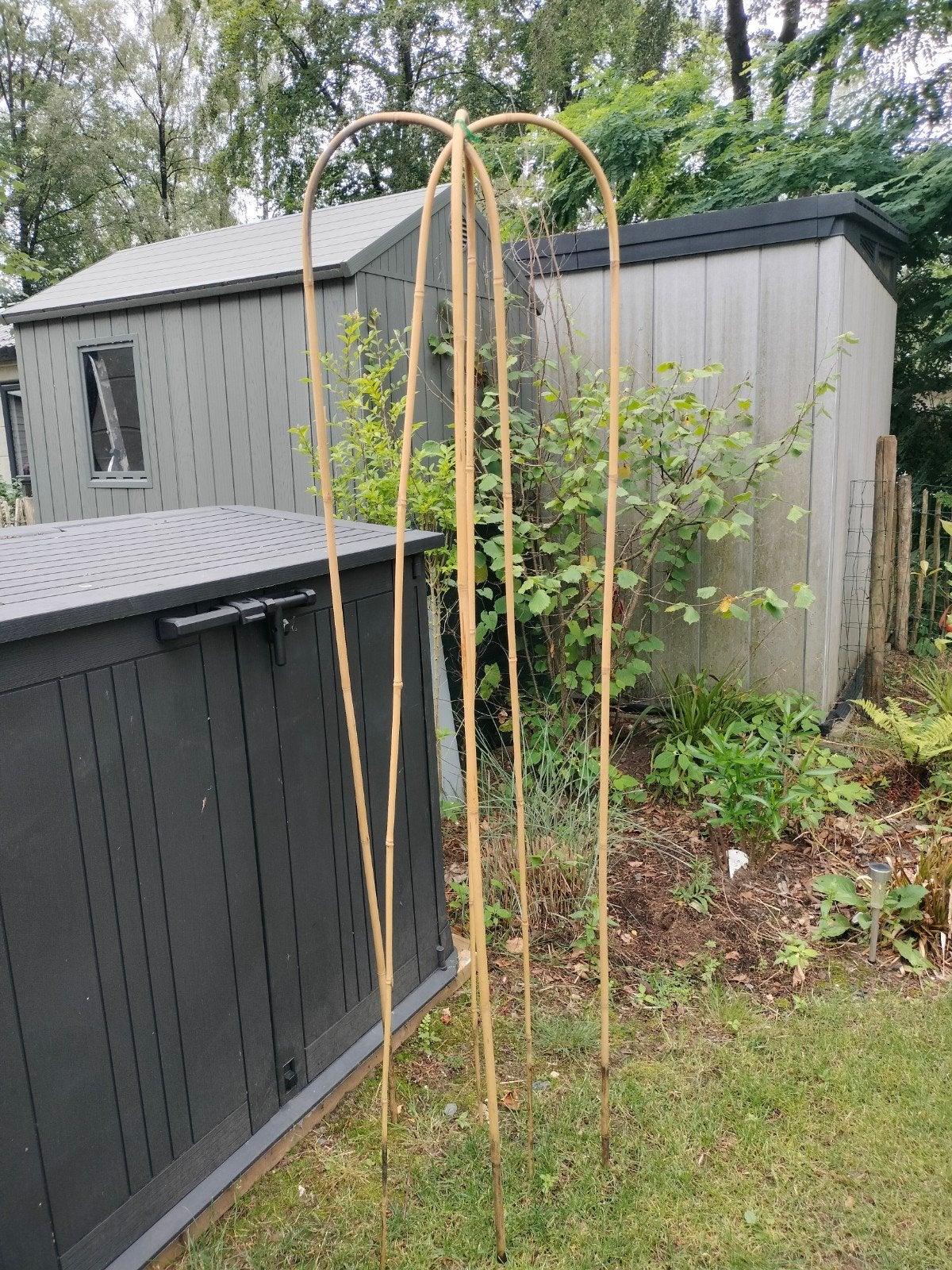 Planten klimrekken, Ophalen, Gebruikt, Hout, Overige typen