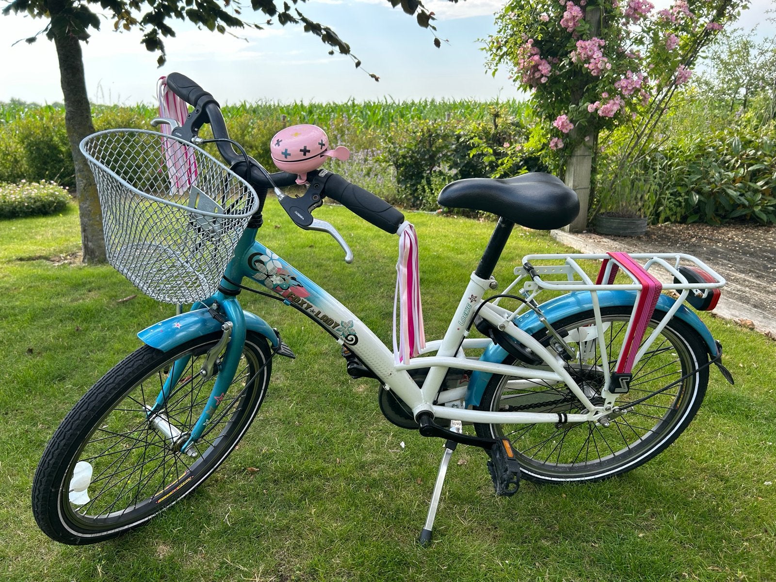 Loekie Foy Lady kinderfiets 20 inch met mandje, Ophalen, Terugtraprem, Gebruikt, Handrem