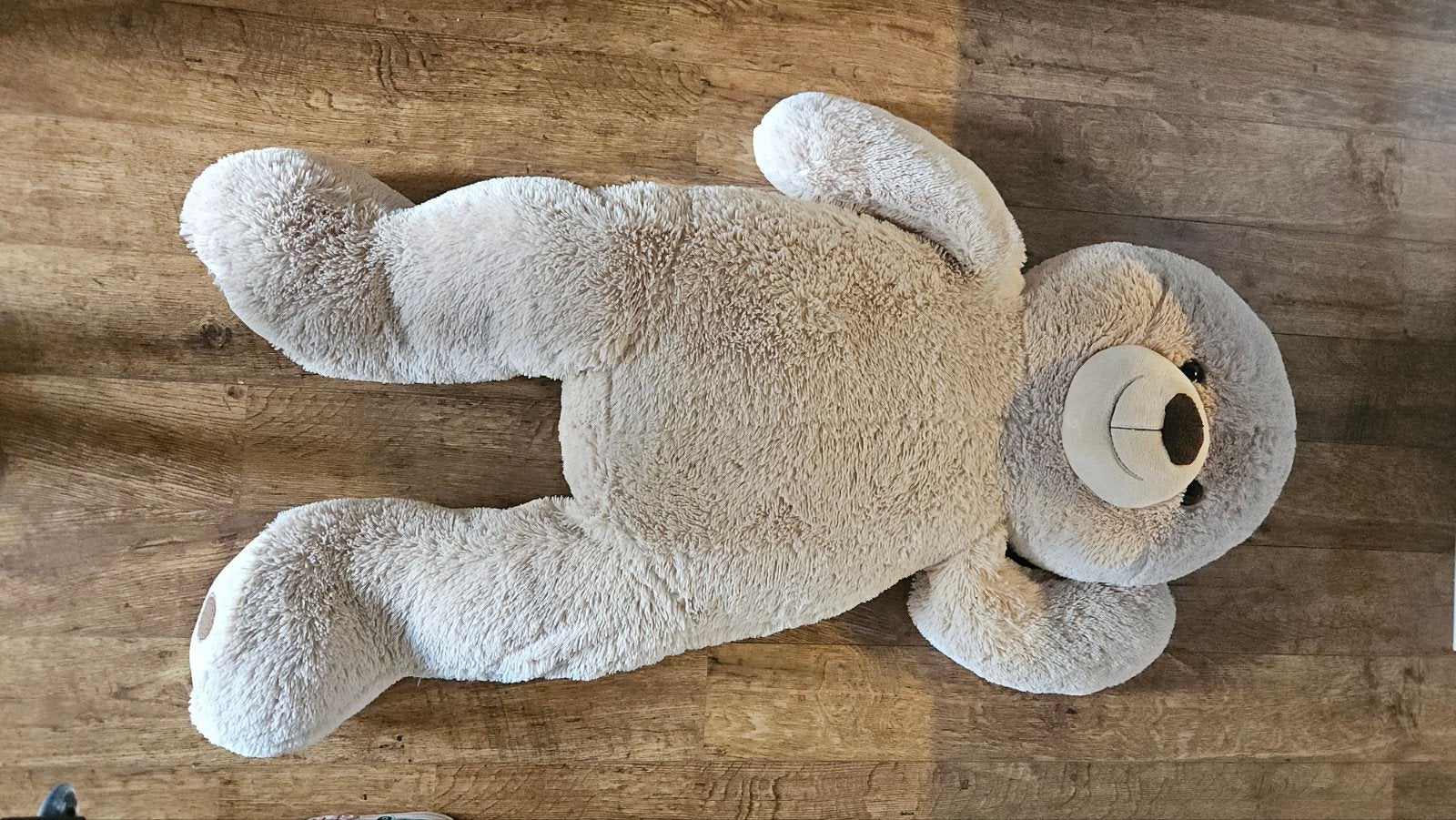 Grote teddybeer van 1.30 meter, Beer, Ophalen of Verzenden, Zo goed als nieuw, Wasbaar