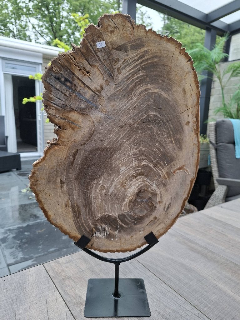 Versteend hout op standaard no 2, Ophalen of Verzenden, Mineraal