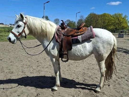 Equiflex 16" westernzadel, Ophalen, Western