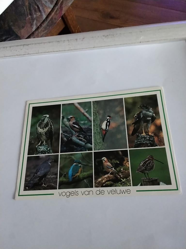 VOGELS VAN DE VELUWE, Ophalen of Verzenden