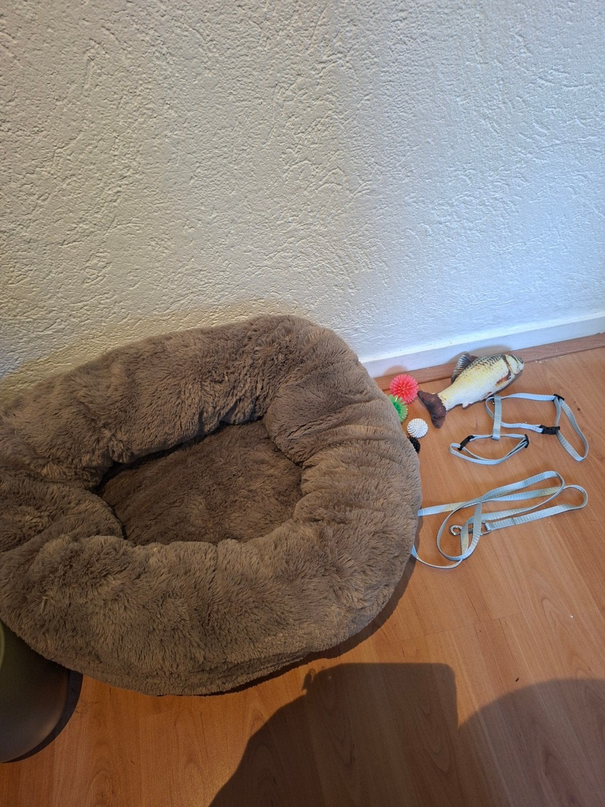katten spullen, Ophalen, Pluche