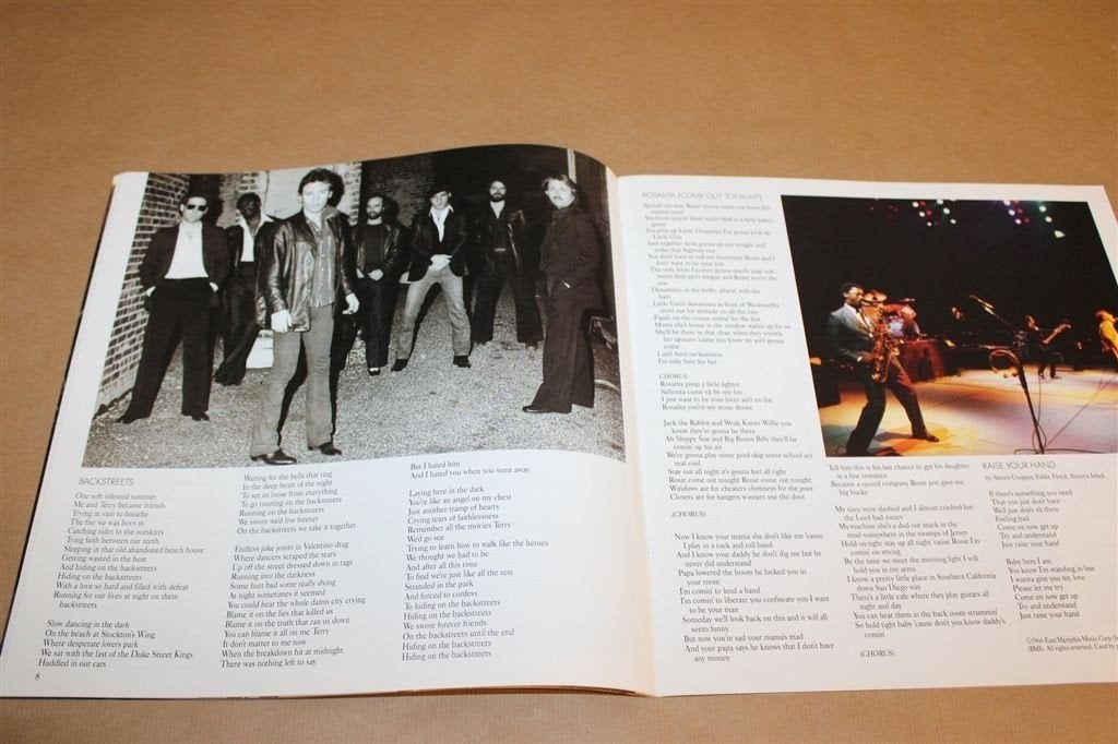 Bruce Springsteen Live 1975-85 — Fotoboek Songteksten, Ophalen of Verzenden, Gelezen, Artiest