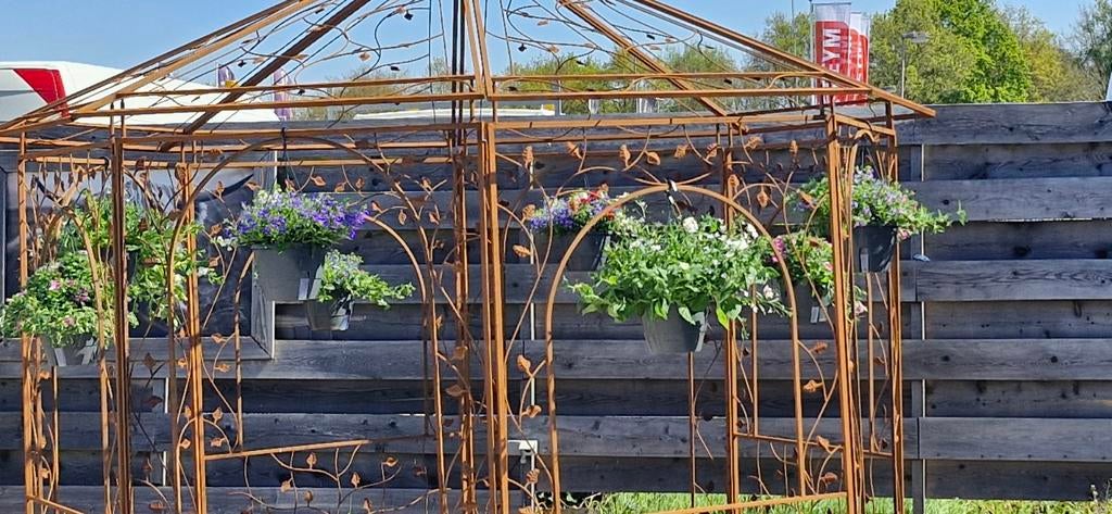 Hangpottenmix en Geraniums - Perfect Moederdag Cadeau!, Ophalen, Kunststof, Minder dan 30 cm, Minder dan 60 cm