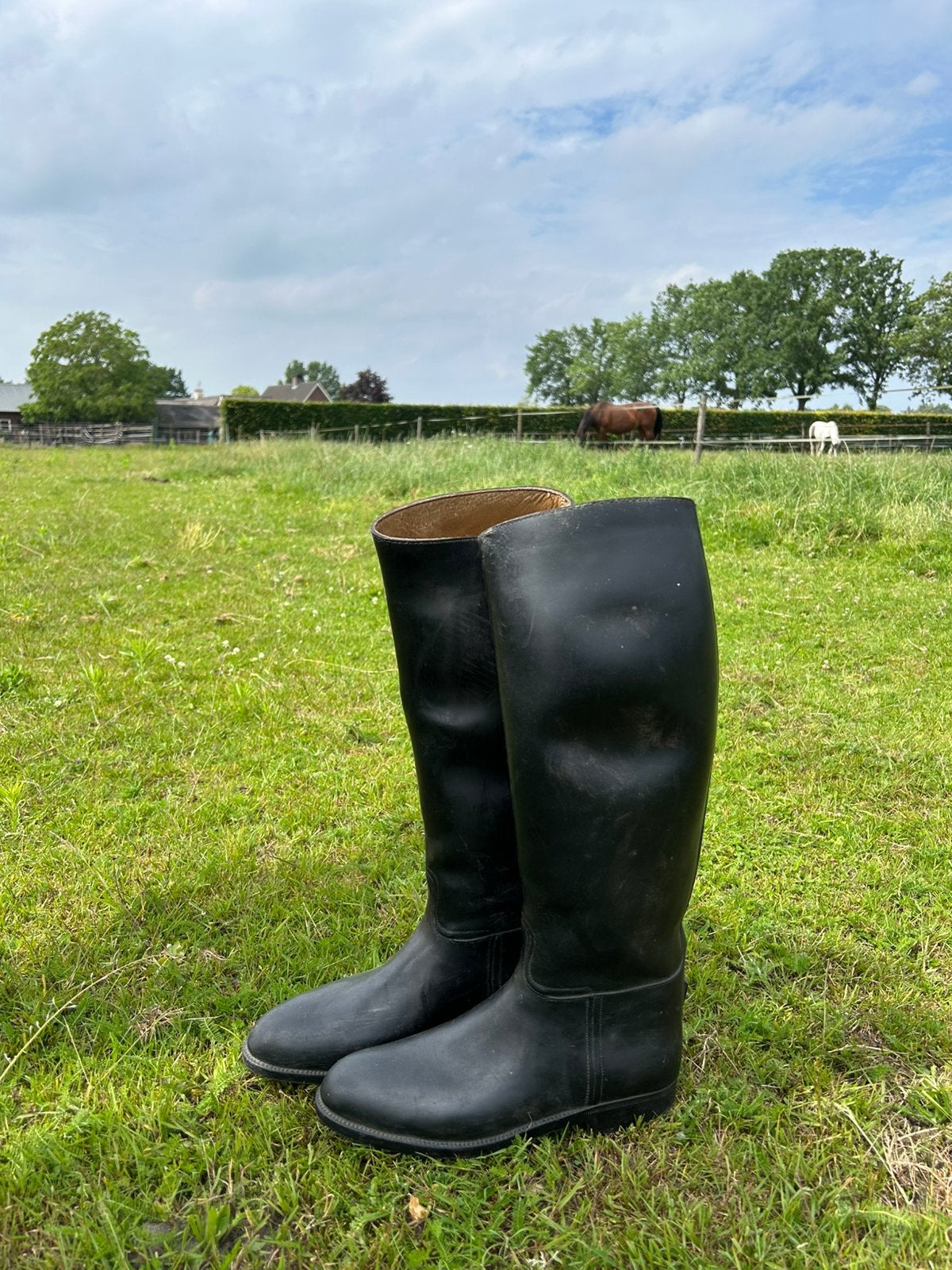 Aigle paardrijlaarzen zwart maat 42, Ophalen of Verzenden, Gebruikt, Recreatie, Schoeisel
