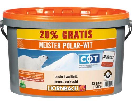 Meister Polar-Wit verf - 12 Liter - Aangebroken 2010, Doe-het-zelf en Verbouw, Verf, Beits en Lak, Ophalen of Verzenden