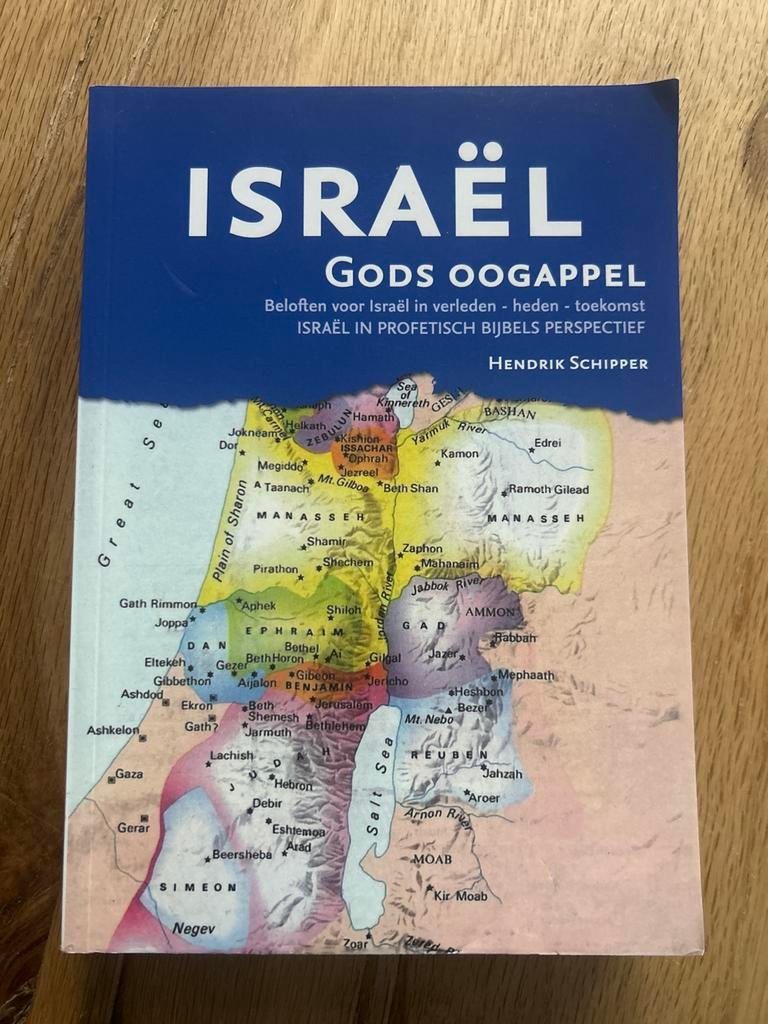 Israël Gods Oogappel - Profetisch Bijbels Perspectief, Boeken, Zwangerschap en Opvoeding, Ophalen of Verzenden, Zo goed als nieuw