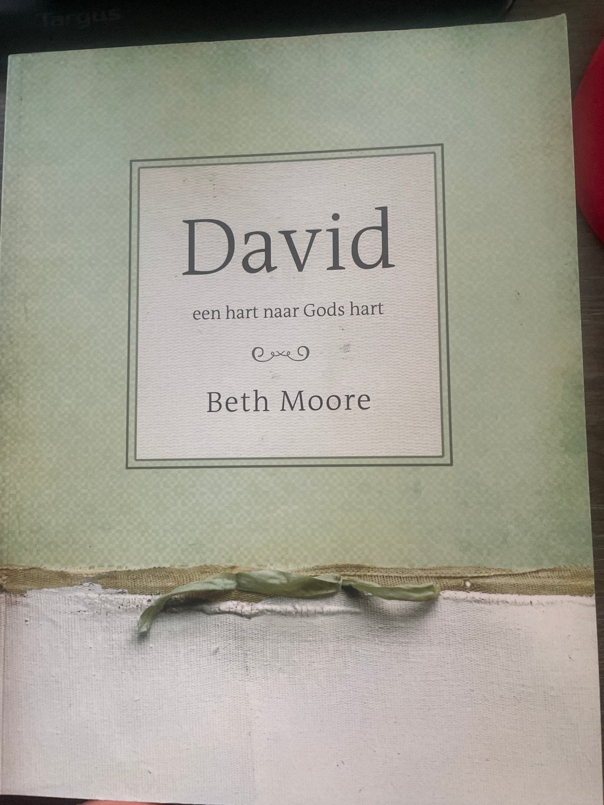 David (werkboek + handleiding) - Beth Moore (Bijbelstudie), Ophalen of Verzenden, Zo goed als nieuw, Christendom | Protestants