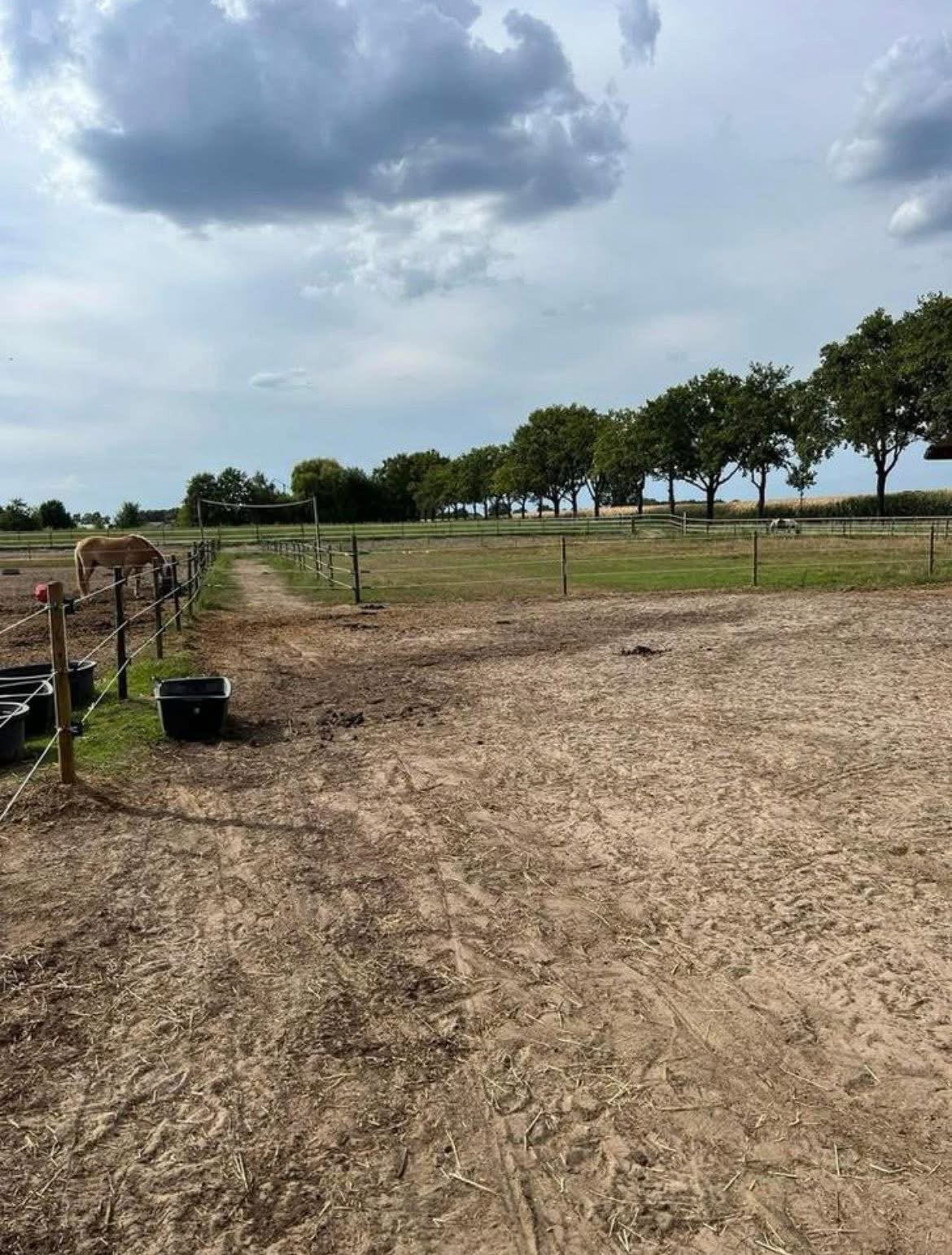 Pension stalling 1 plekje beschikbaar, Dieren en Toebehoren, Stalling en Weidegang, Stalling