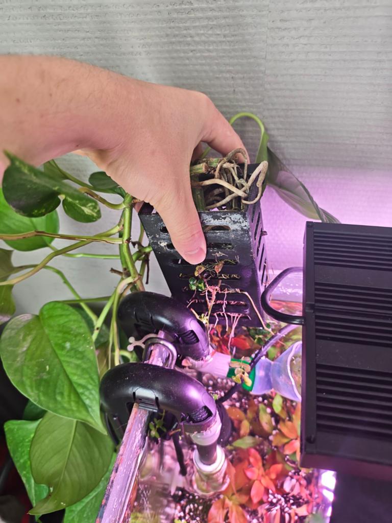 Planten houder voor kamerplanten in aquarium, Dieren en Toebehoren, Ophalen, Nieuw, Overige typen