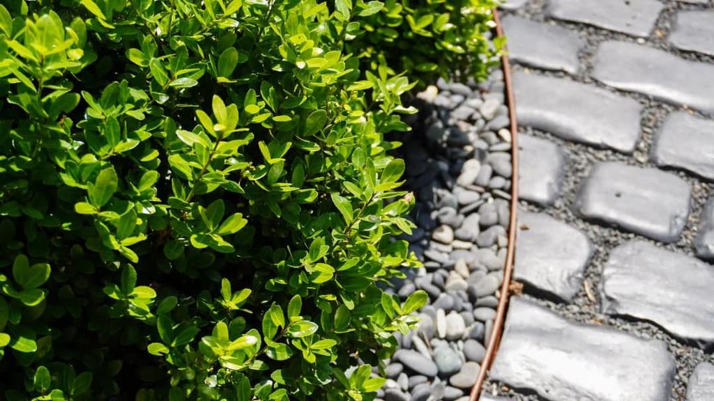 Cortenstaal Borderrand / Kantopsluiting 3m – 100 t/m 300mm, Tuin en Terras, Bielzen en Borders, Ophalen, Overige materialen, 25 tot 50 cm