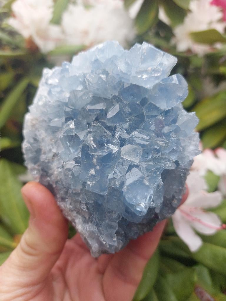 Mooie donkere celestien, Verzamelen, Mineralen en Fossielen, Ophalen of Verzenden