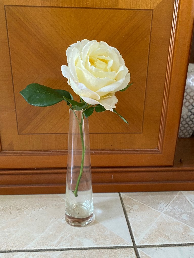 Twee smalle vazen, Huis en Inrichting, Ophalen of Verzenden, Zo goed als nieuw, Glas