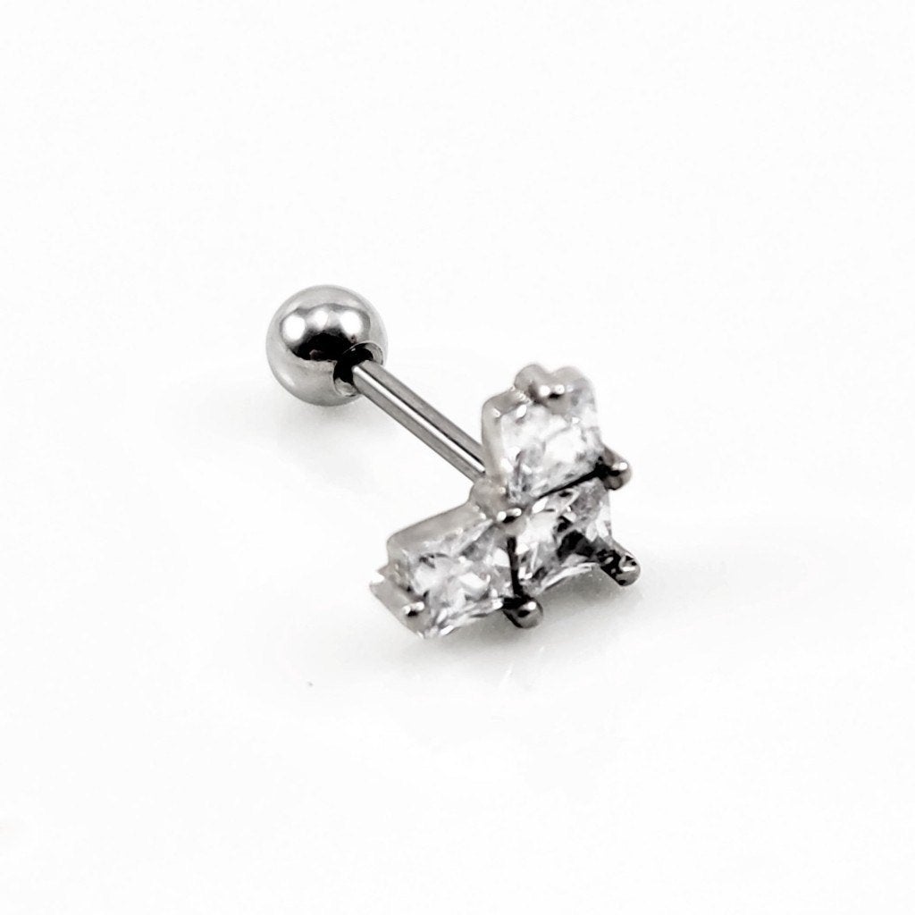 RVS Hart Helix Oorpiercing - Tragus - Kraakbeen, Staal, Birgitta-Gracht 33, 6465 EL Kerkrade, Nederland, Verzenden, Oor- of Traguspiercing