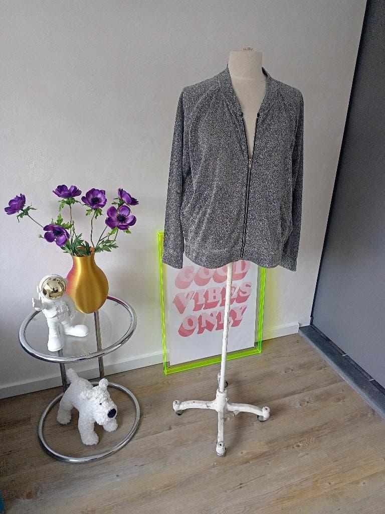 Super gaaf zilveren glitterjasje maat L, zgan, Overige kleuren, Maat 42/44 (L), Ophalen of Verzenden, Zo goed als nieuw