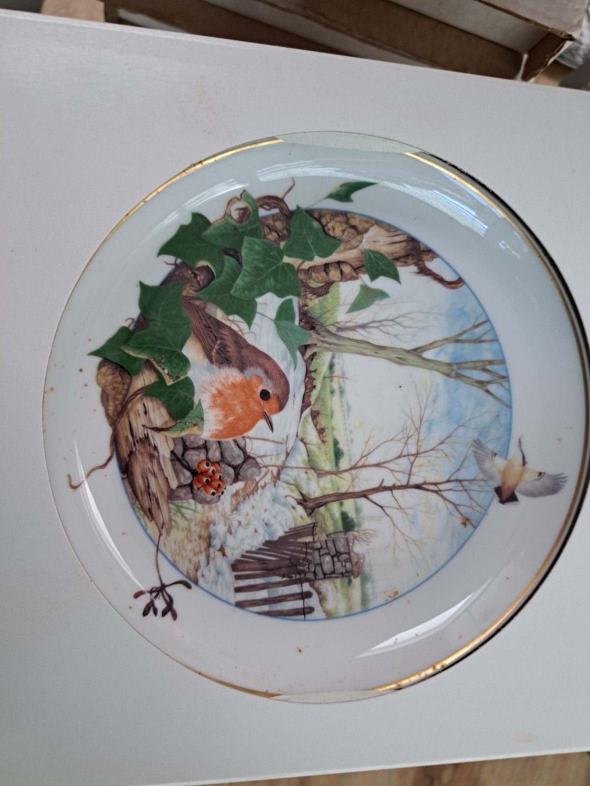 Porselein van Martin Camm Birds of the Country Year hele set, Antiek en Kunst, Ophalen