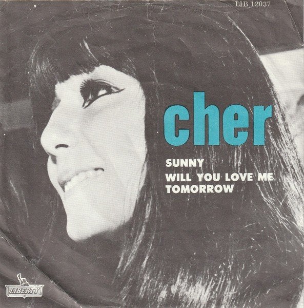 Cher - Sunny (Single), Gebruikt, 7 inch, Pop, Fotohoes