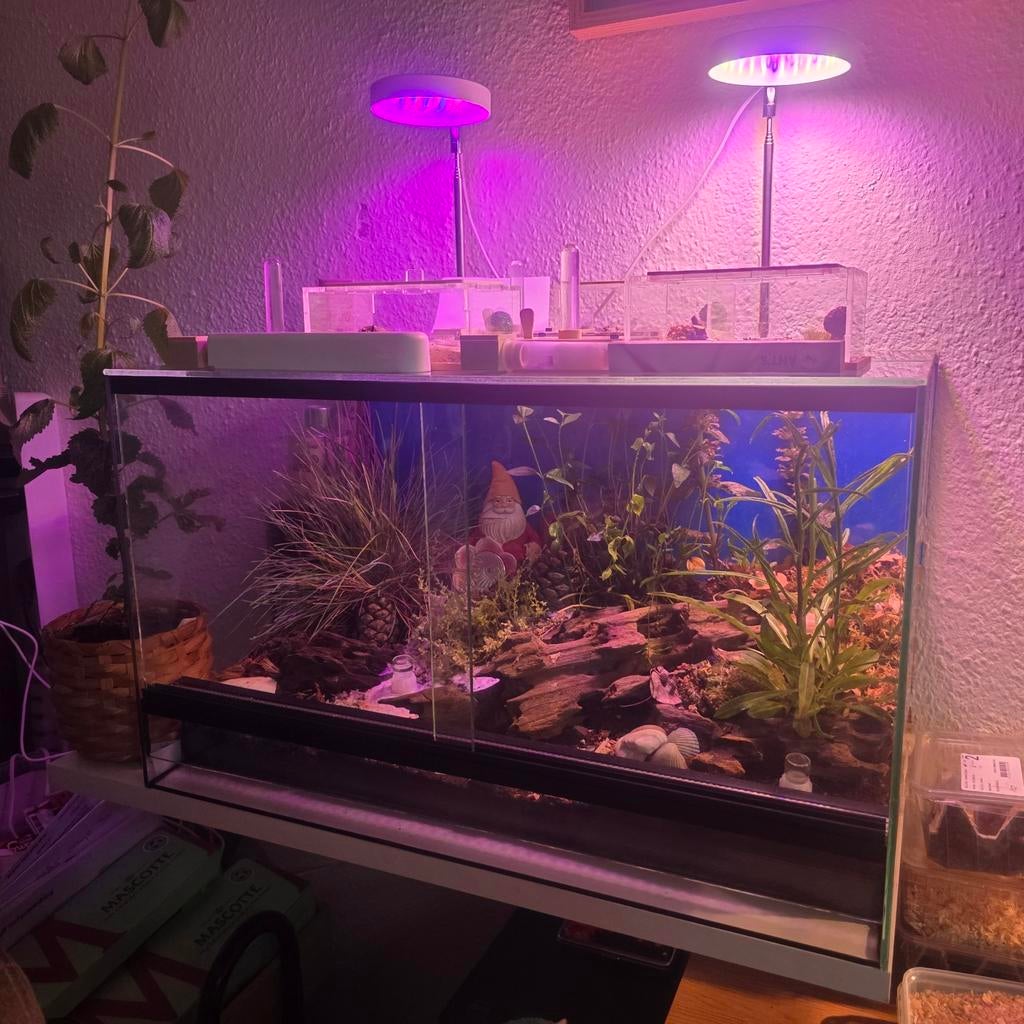 Isopods met Terrarium, Overige soorten