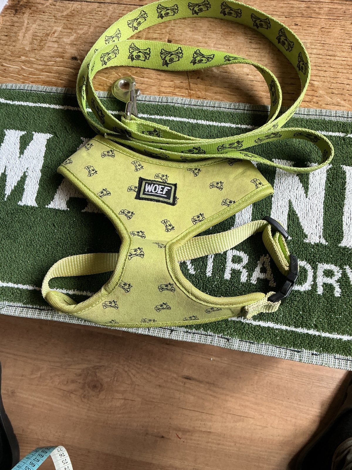 Hondentuigje met aparte riem, Dieren en Toebehoren, Honden-accessoires, Ophalen of Verzenden