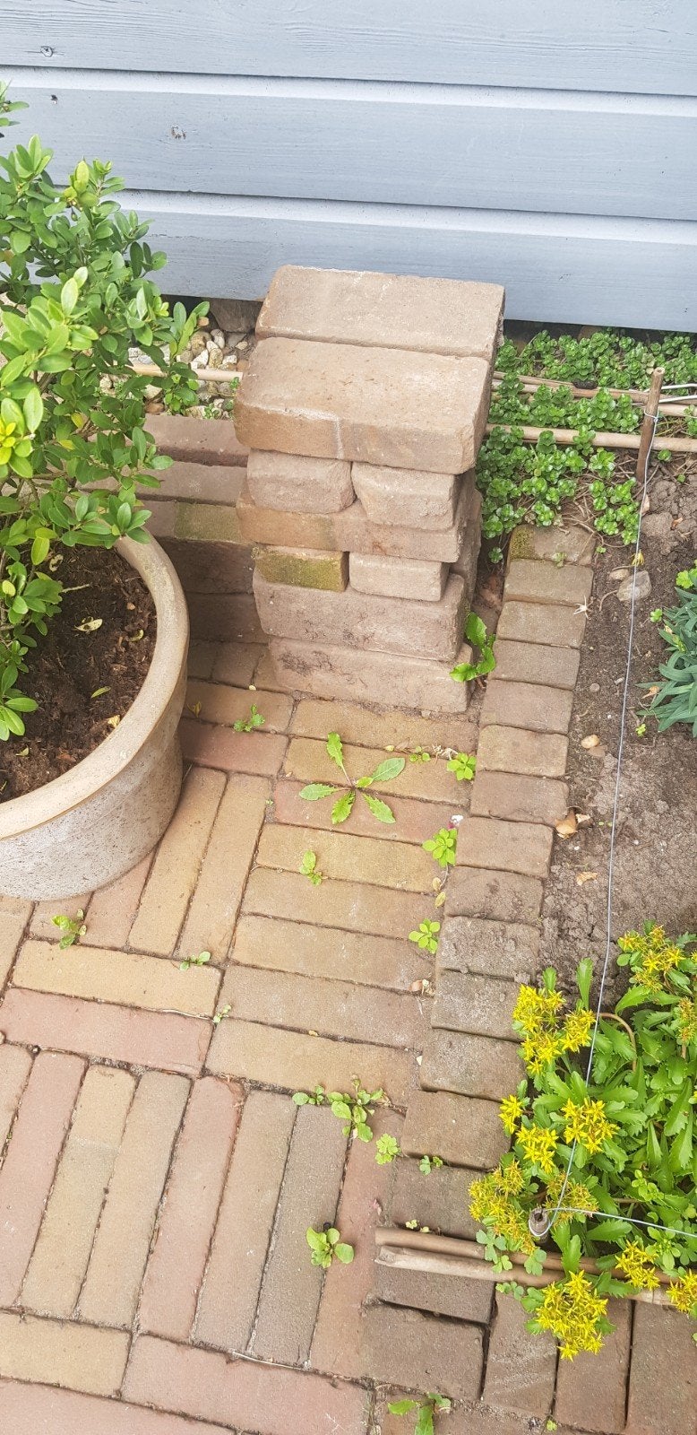 Gevraagd Waal klinkers, Tuin en Terras, Ophalen, Keramiek, Klinkers
