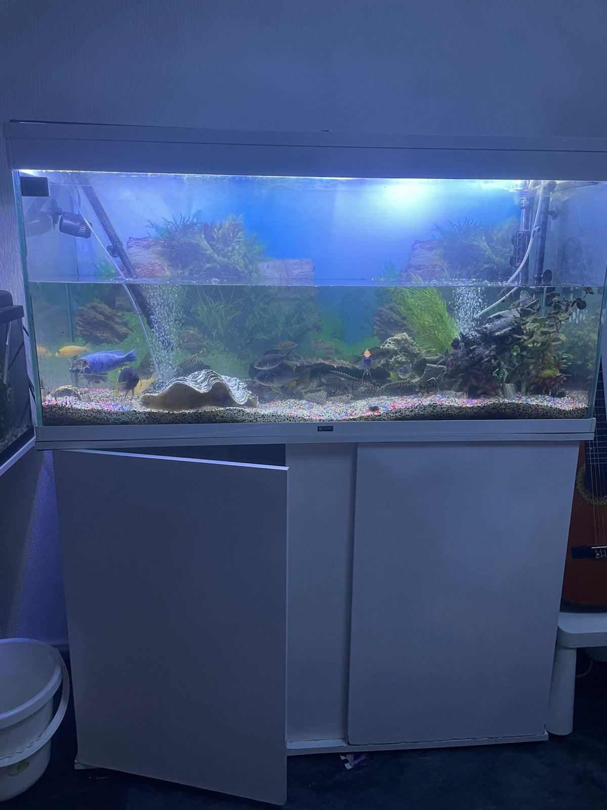 Aquarium MOET WEG!!!! €100, Ophalen, Gebruikt, Leeg aquarium
