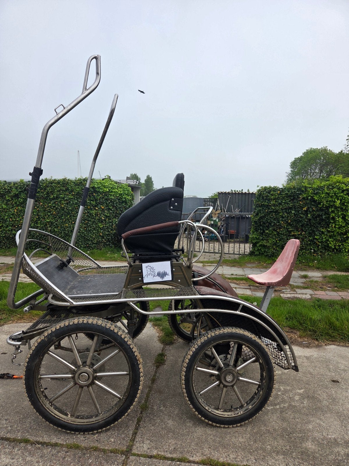 Marathonwagen, Dieren en Toebehoren, Rijtuigen en Koetsen