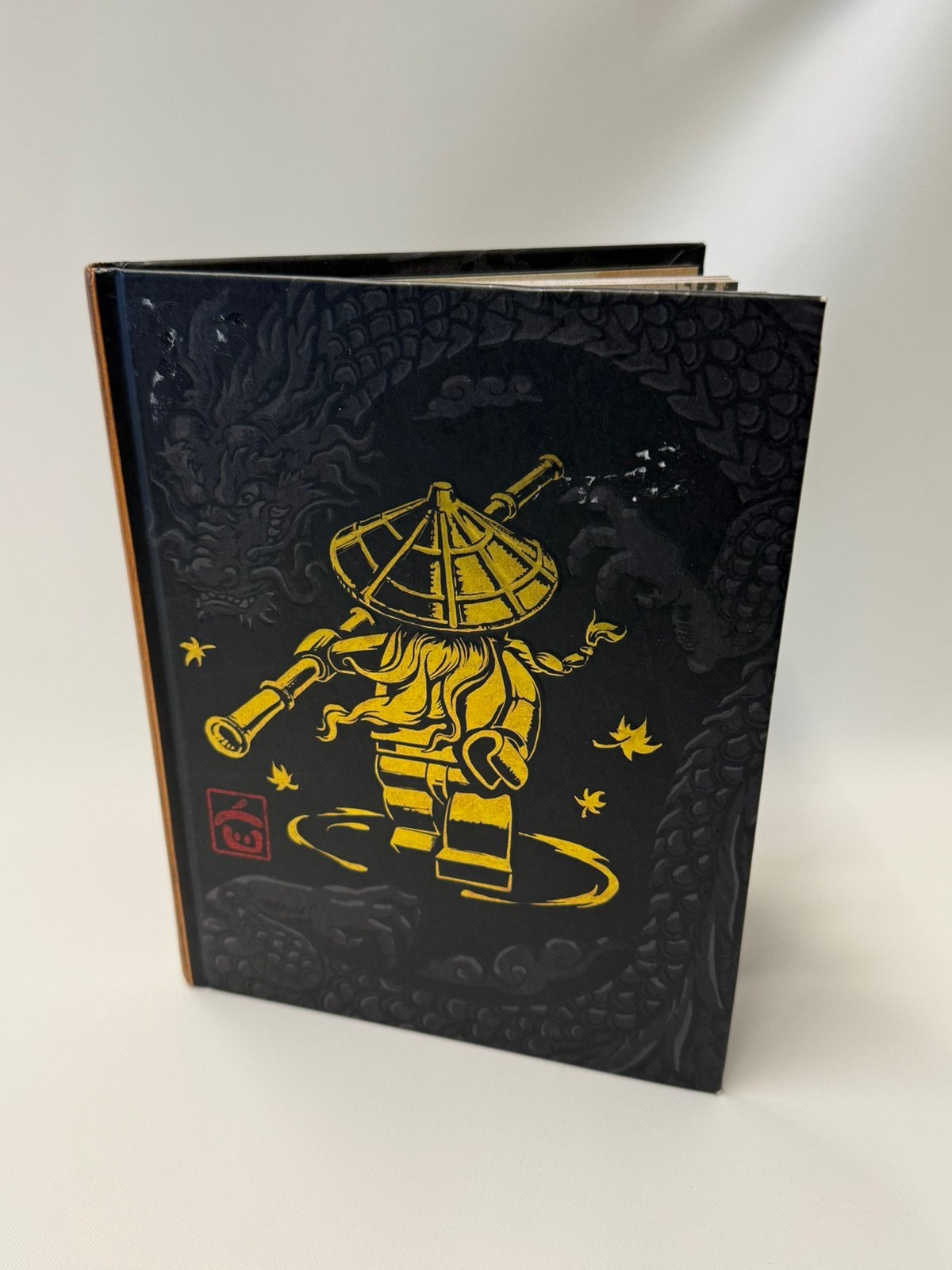 Lego boek, Het boek van Spinjitzu, Ophalen of Verzenden, Gebruikt, Compleet, Lego