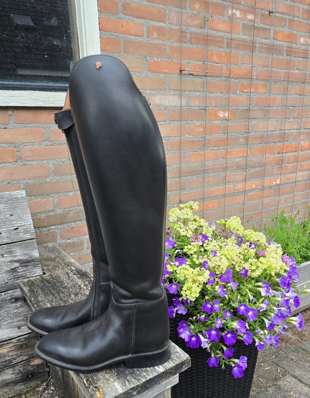 Leren rijlaarzen van Petrie mt 38 type Olympic, Ophalen, Zo goed als nieuw, Dressuur