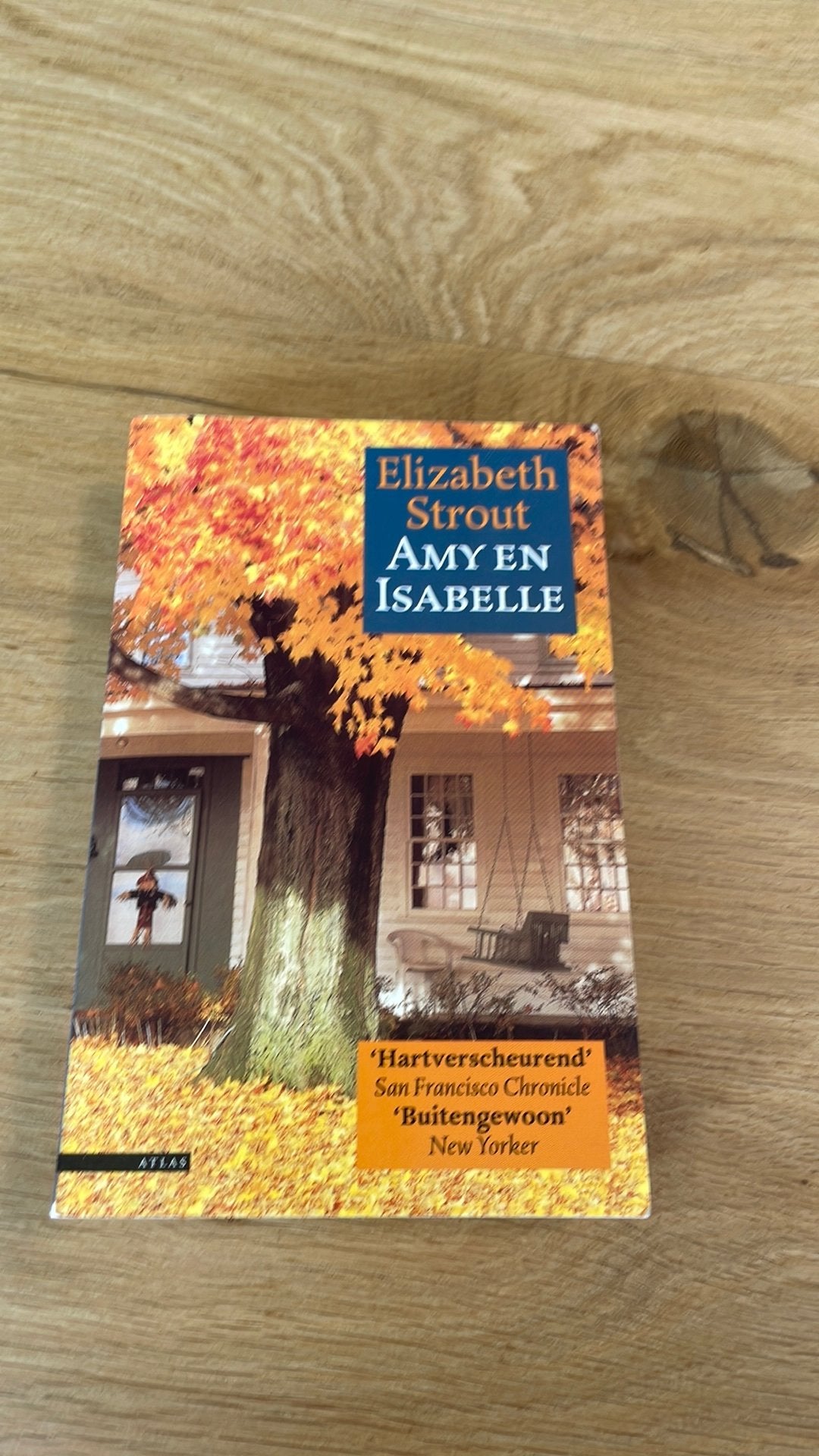 E. Strout - Amy en Isabelle, Boeken, Literatuur, Ophalen of Verzenden, Zo goed als nieuw, E. Strout